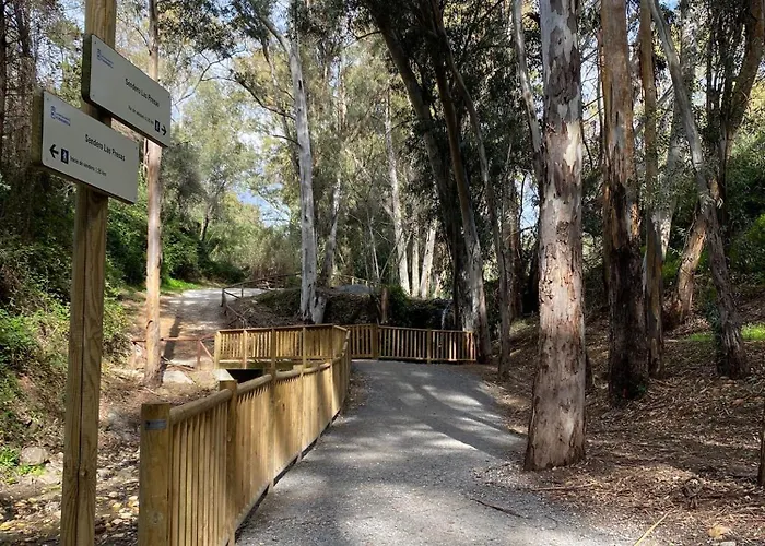 Alessandra Sea Wave Daire Fuengirola