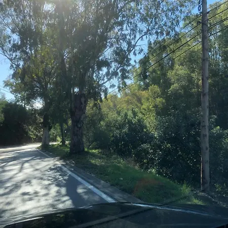 Апартаменты Alessandra Sea Wave Фуэнхирола