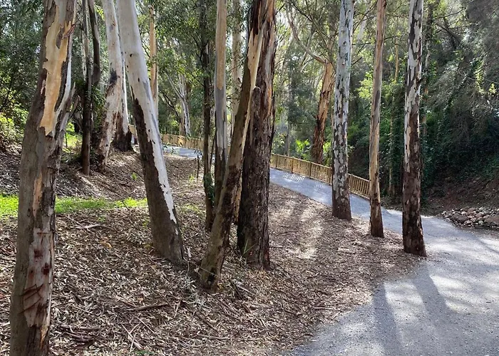Alessandra Sea Wave Apartamento Fuengirola